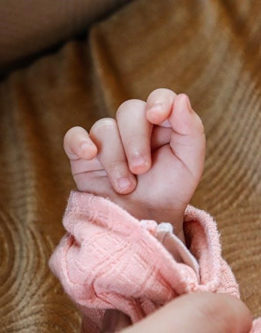 the birth of israel myths and realities pdf