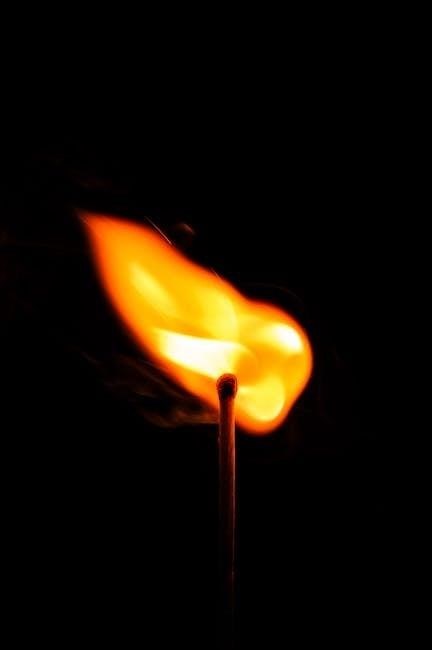 heat & glo remote control manual