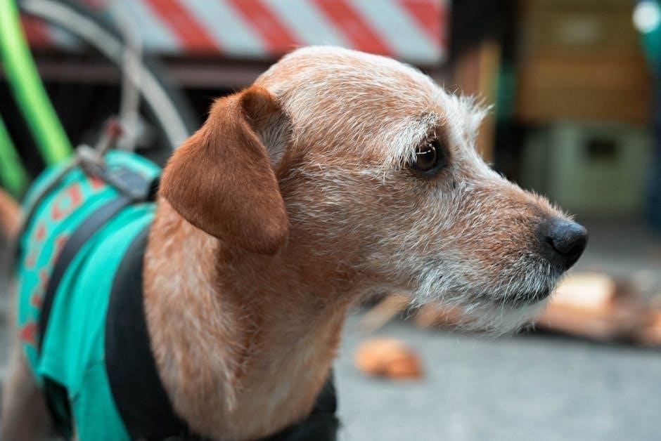 brownie pet badge requirements pdf