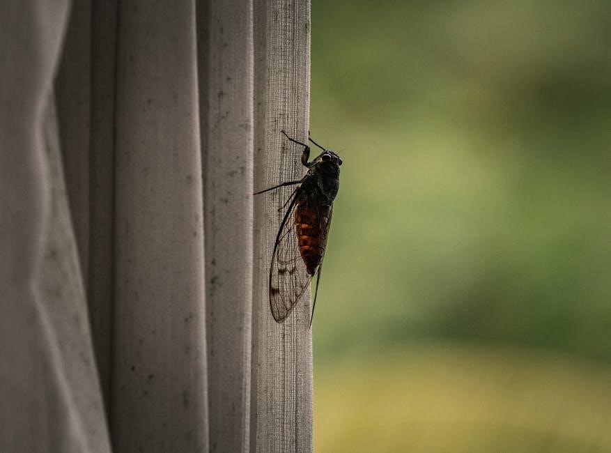 ultimate life binder pdf free download